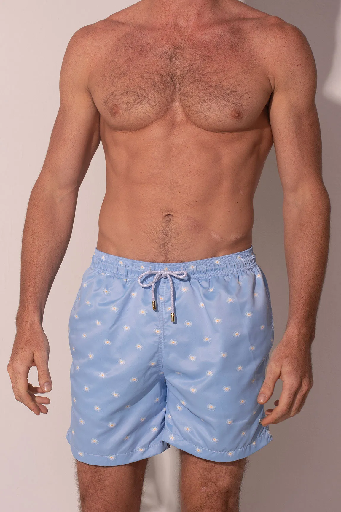 A Single Daisy Men Trunk