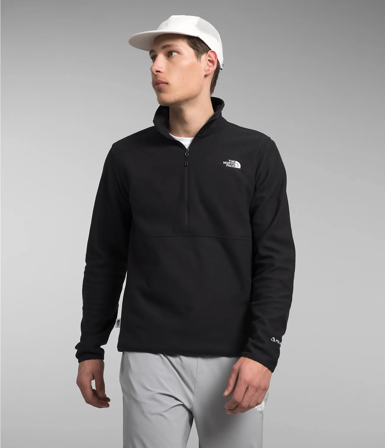 Alpine Polartec 100 1/2 Zip Men's