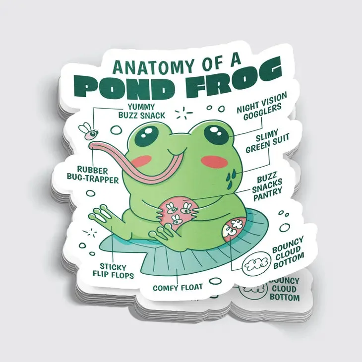 Anatomy of a Frog 3 Sticker