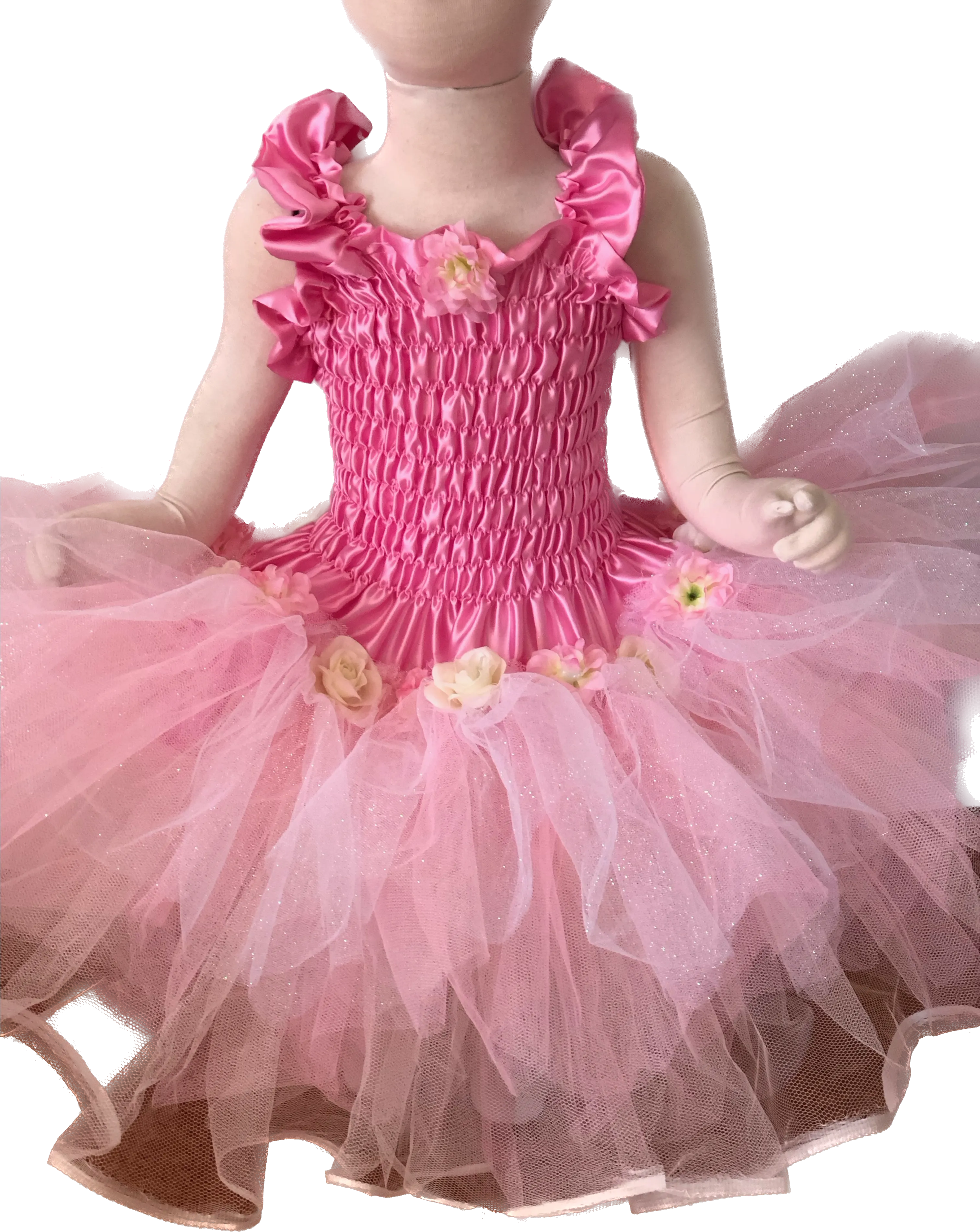 Aurora Fairy Dress