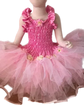 Aurora Fairy Dress