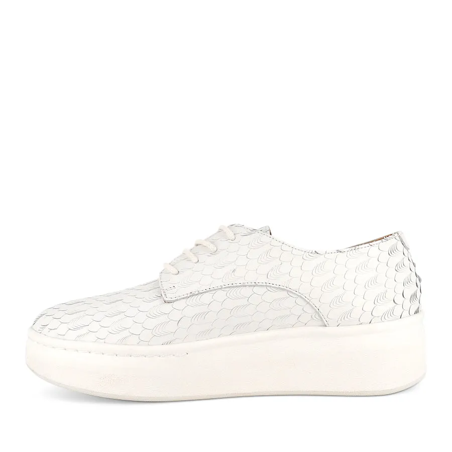 DERBY CITY LACEUP - WHITE GEO LEATHER