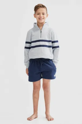 Jnr Collegiate Stripe Quarter Zip Grey Marle