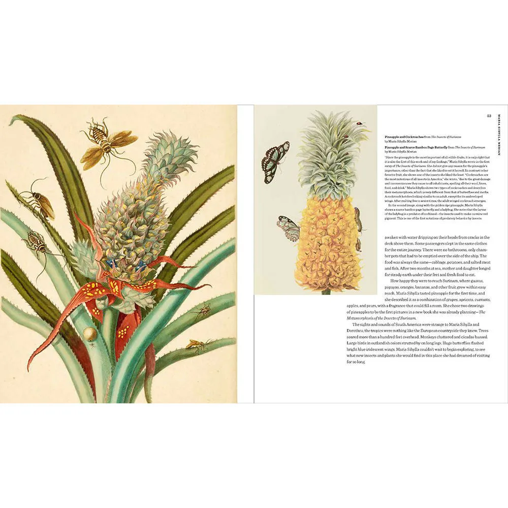 Maria Sibylla Merian: Artist Scientist Adventurer