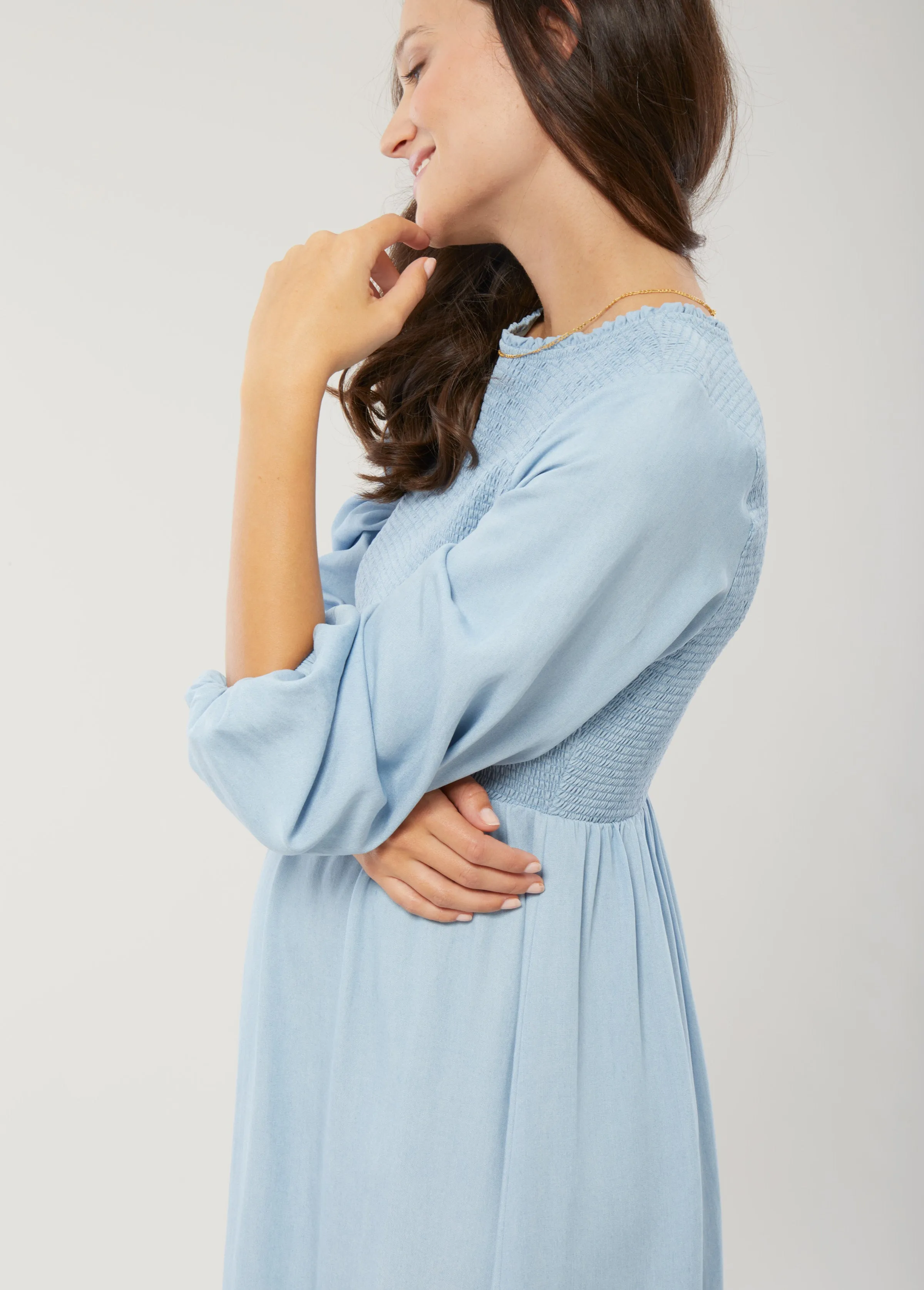 Meadow Chambray Maternity Dress