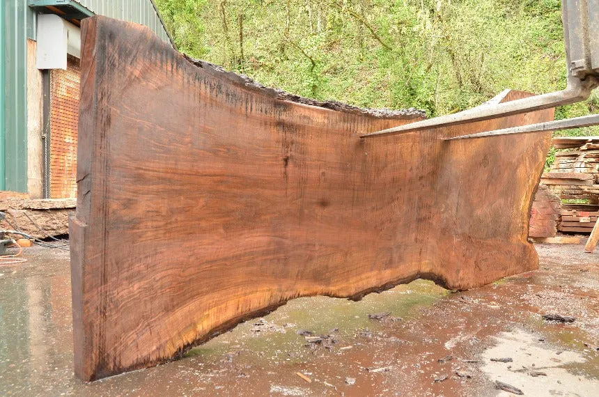 Oregon Black Walnut Slab 040822-03