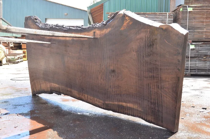 Oregon Black Walnut Slab 051022-03