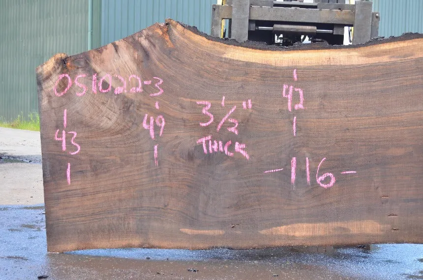 Oregon Black Walnut Slab 051022-03