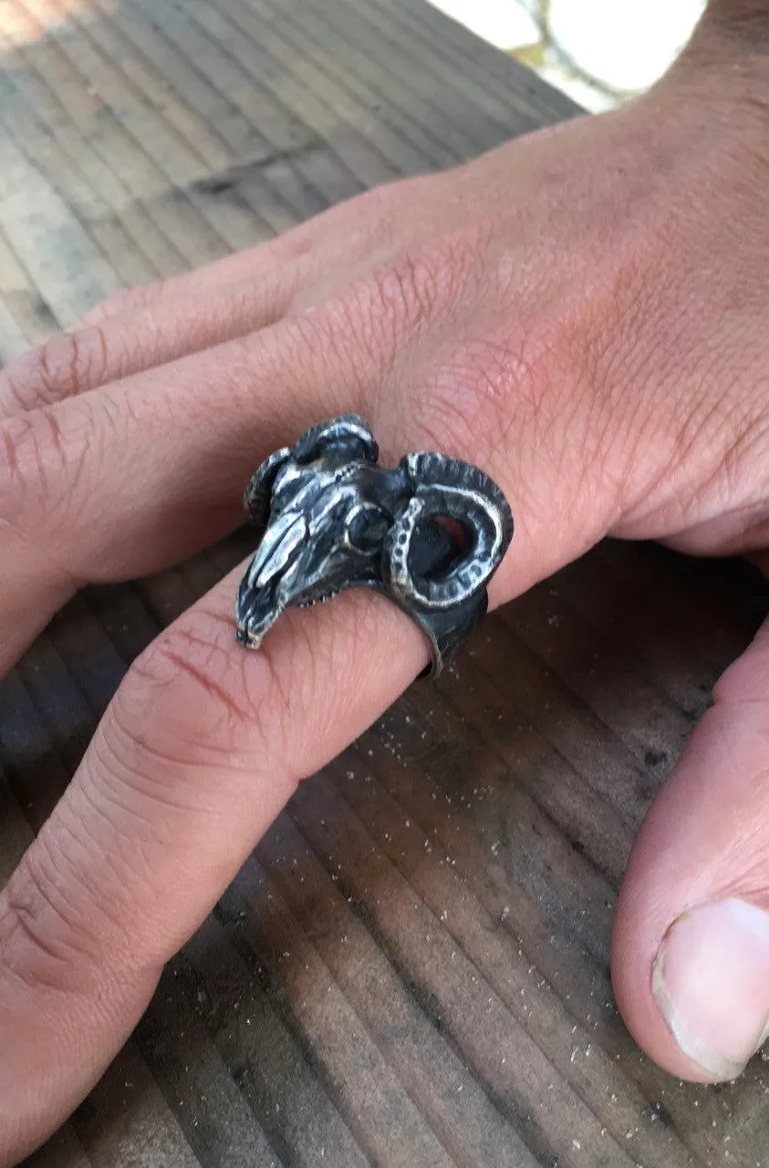 ram skull ring