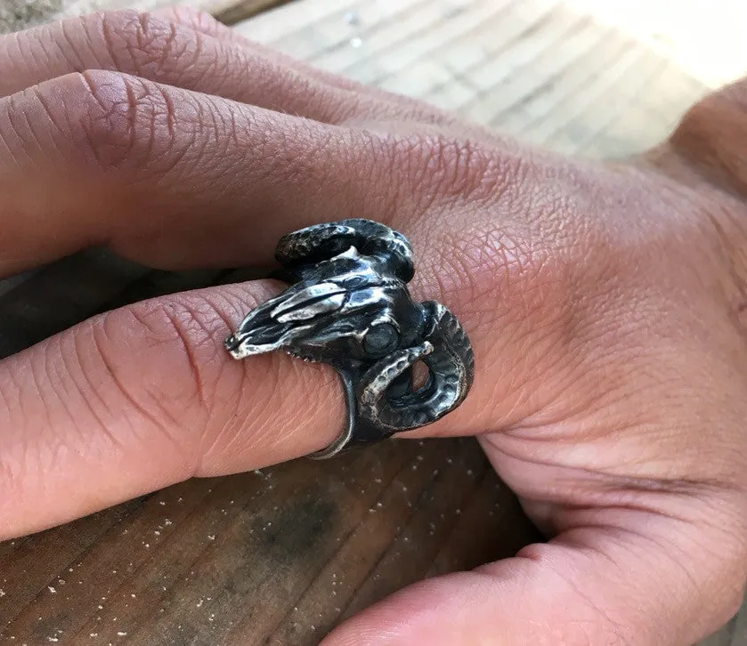 ram skull ring