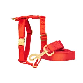 Royal Satin Leash & Harness Set